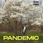 Pandemic! (Explicit)