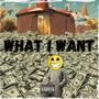 What I Want (Explicit)