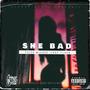 She Bad (feat. Tsizo, Mledge, IIroy & Flash) [Explicit]