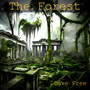 The Forest