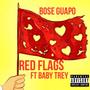 Red Flags (feat. Baby Trey) [Explicit]