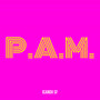 P.a.M. (Explicit)