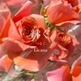 絆ぐ -つなぐ-
