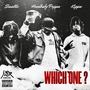 Which One? (feat. Hoodbaby Peppa, SmallzX & Kvppa) [Explicit]