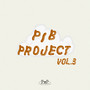 PIB Project Vol.3 (이해할께)