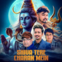 Shiva tere charan mein