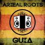 Arieal Roots