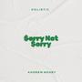 Sorry Not Sorry (feat. Andrew Money) [Explicit]