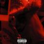 Birds Aren't Real (Explicit)