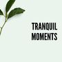 Tranquil moments