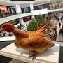 Mall Chicken