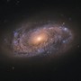 Spiral Galaxy NGC 2906