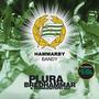 Hammarby Bandy