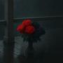 Dead Rose (Explicit)