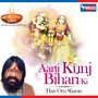 Aarti Kunj Bihari Ki