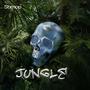 JUNGLE (Explicit)