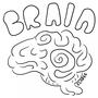 Brain