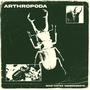 Arthropoda (Explicit)