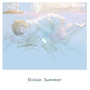 Stolen Summer