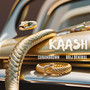 Kaash