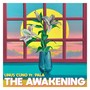 The Awakening