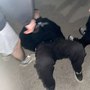 САМЫЕ ГЛАВНЫЕ ЧЕРВИ С ТУСОВКИ (Explicit)