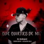 Que Quieres de Mi?