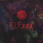 Flexxx