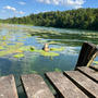 Green Lake (Summer)