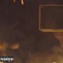 the forest (Explicit)