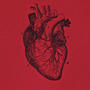 Surviving heart (Explicit)