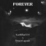 Forever (Explicit)