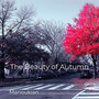 The Beauty of Autumn