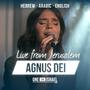 Agnus Dei | Hebrew, Arabic & English (feat. Nizar Francis, Shilo Ben Hod, Rebekah Davis & SOLU Israel)