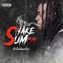 Shake Sum (Explicit)