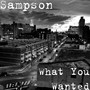 What You Wanted (Explicit)