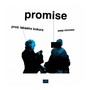 promise (Explicit)