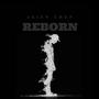 REBORN (feat. Jared Benjamin & Phix)