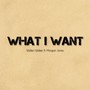 What I Want (Explicit)