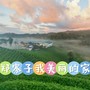 郑寨子我美丽的家