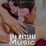 Spa Massage Music: Total Wellness, Relaxation & Meditation Music, Calming Soothing Music & Sounds of Nature for your Well-Being