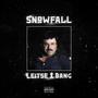 SNOWFALL (feat. Leitse) [Explicit]