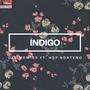 Indigo (feat. Ofe Montes)