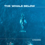 The Whale Below