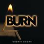 Burn (feat. Godwin Omonu)