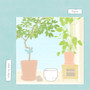i killed my plant (Explicit)