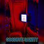 Goodbye Sanity (Explicit)