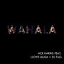 Wahala (feat. Lloyd Musa & DJ Tag)