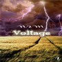 Voltage