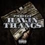 Havin Thangs (Explicit)